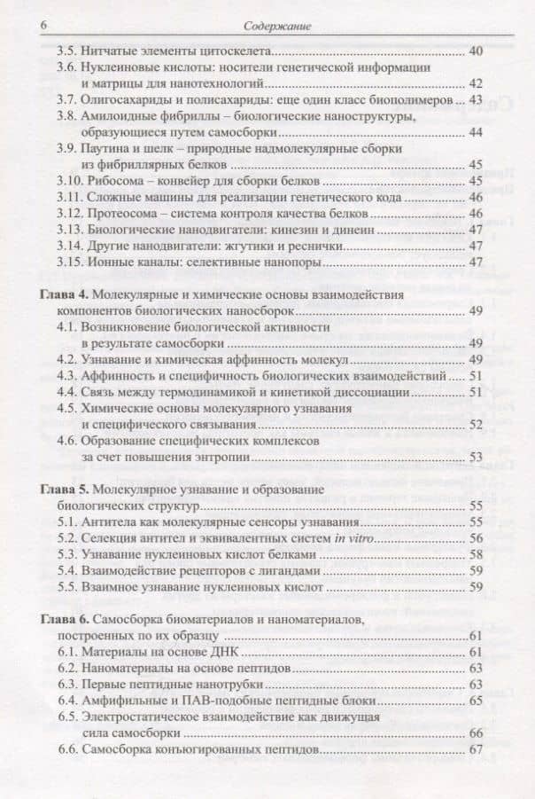 Нанобиотехнология: необъятные перспективы развития — Эхуд Газит (3)