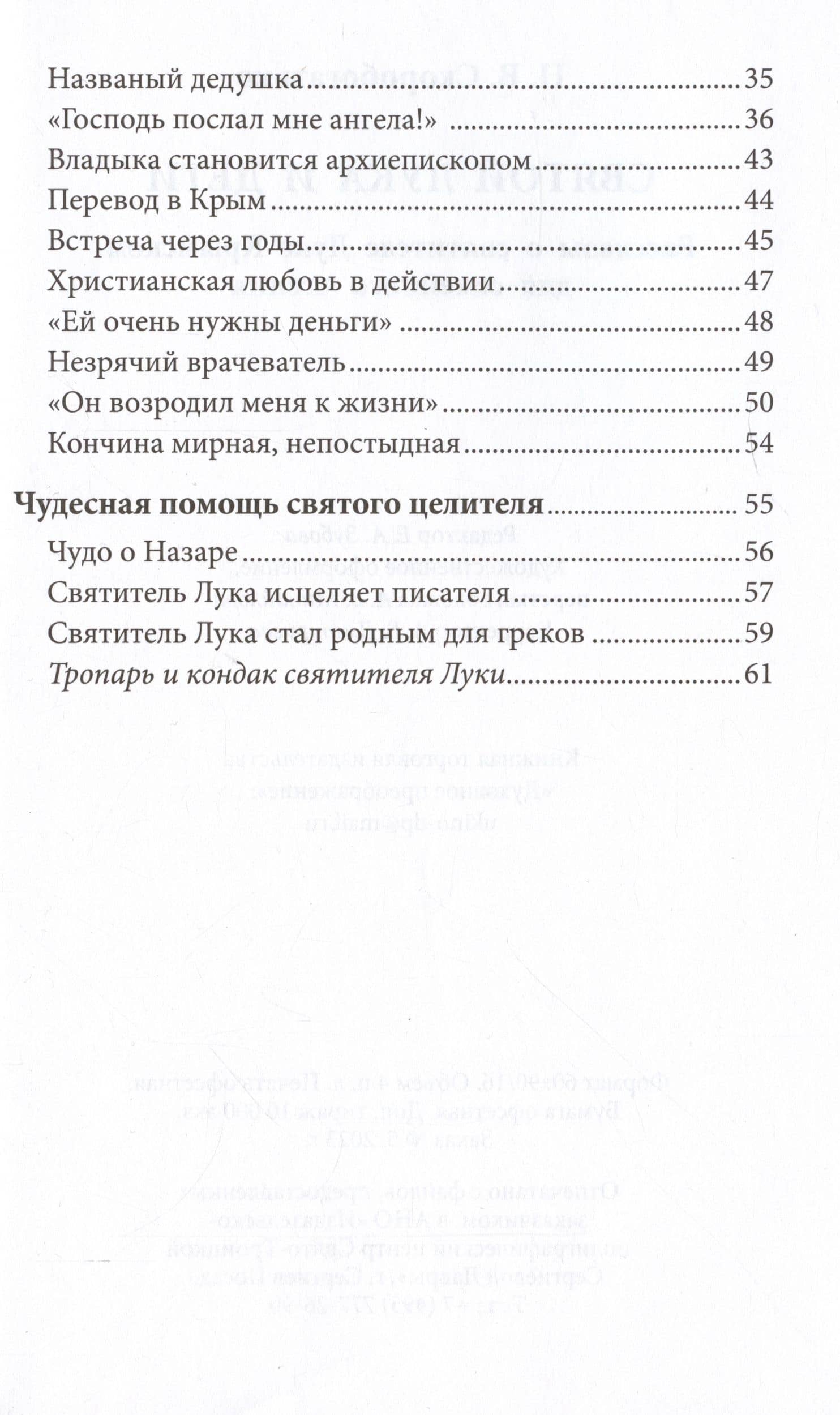 Святой Лука и дети. Рассказы о святителе Луке Крымском для семейного чтения — Наталия Владимировна Скоробогатько (3)