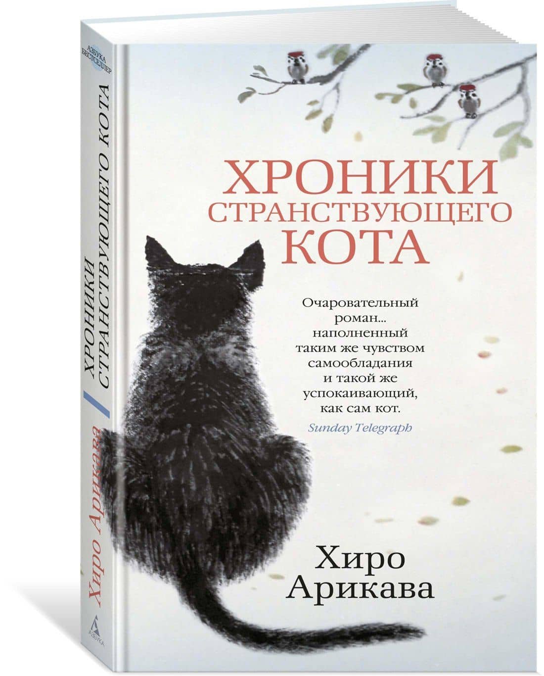 Хроники странствующего кота — Хиро Арикава (3)