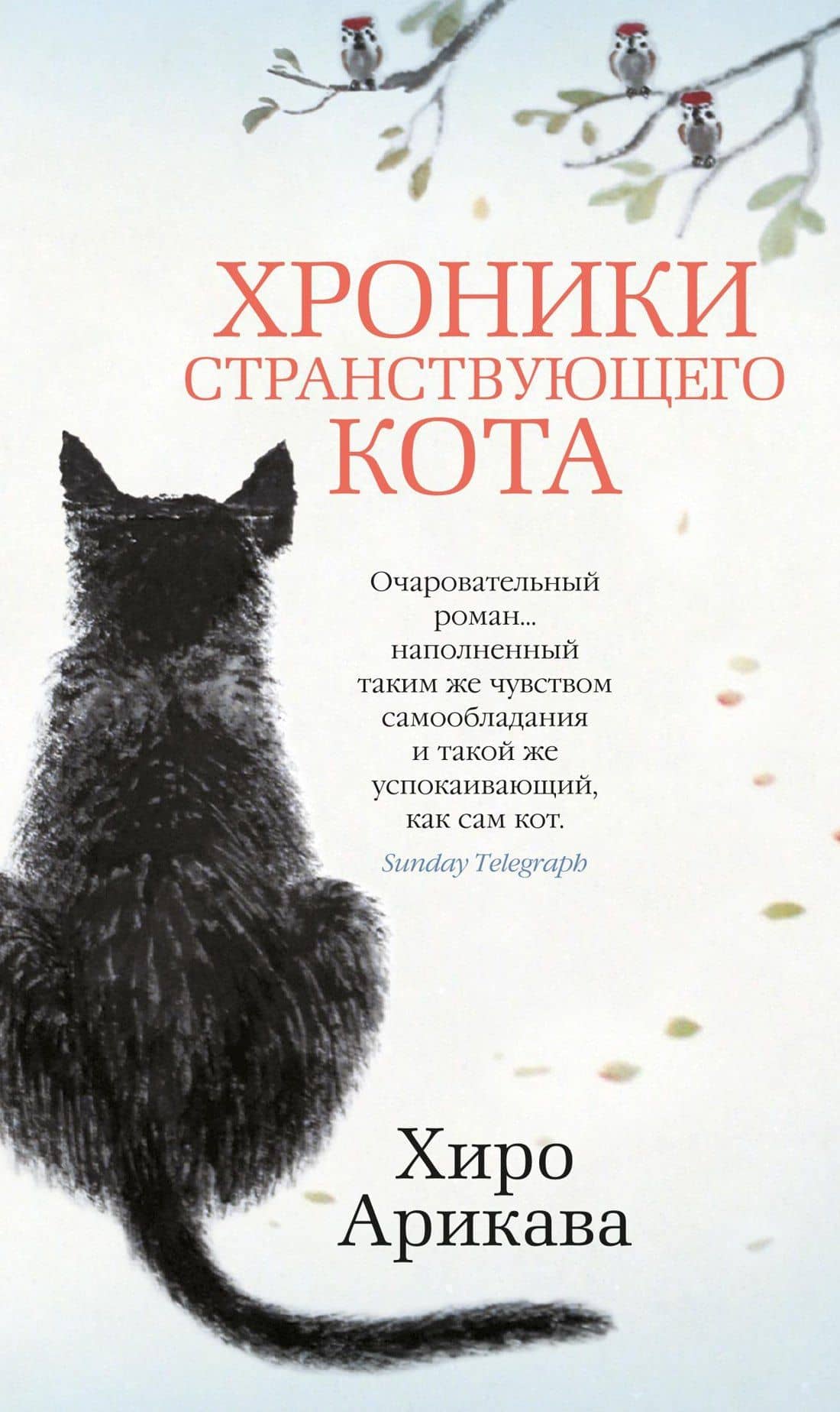 Хроники странствующего кота — Хиро Арикава