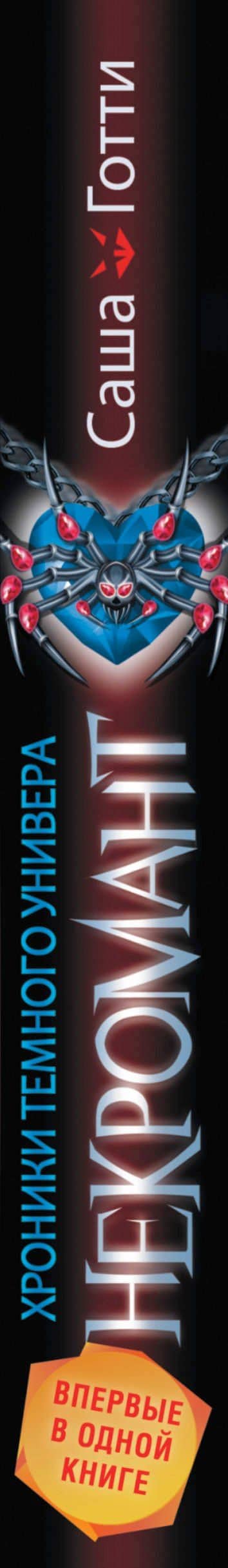 Хроники Темного Универа. Некромант — Саша Готти (3)