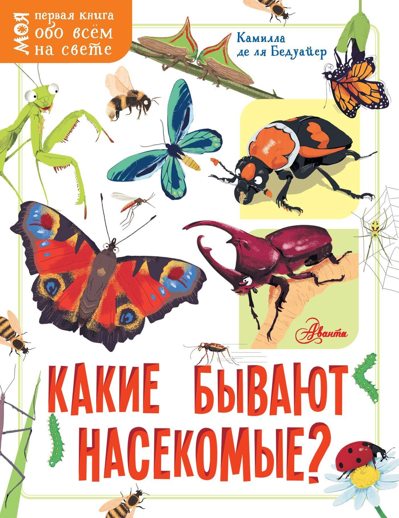 Какие бывают насекомые? — Камилла де ла Бедуайер