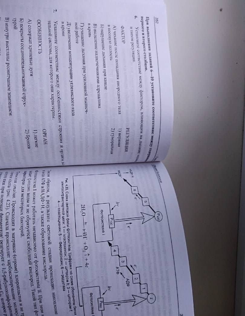ЕГЭ по биологии. Практическая подготовка — Дмитрий Андреевич Соловков (3)