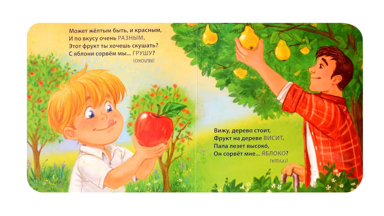 Загадки-обманки. Фрукты и ягоды — Евгений Анатольевич Сосновский (2)