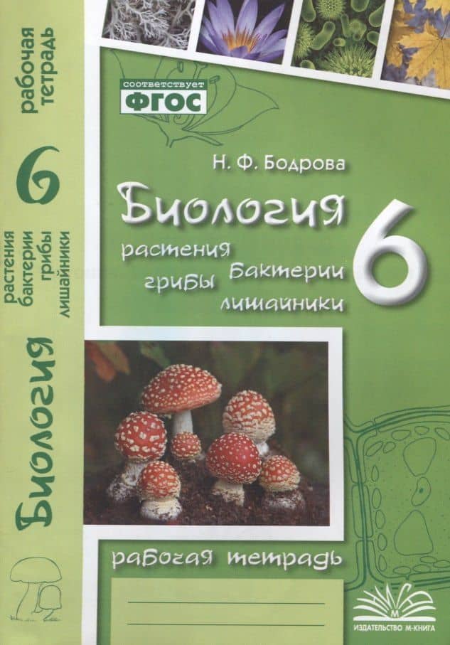 Биология. 6 класс. Растения. Бактерии. Грибы. Лишайники. Рабочая тетрадь — Наталья Федоровна Бодрова