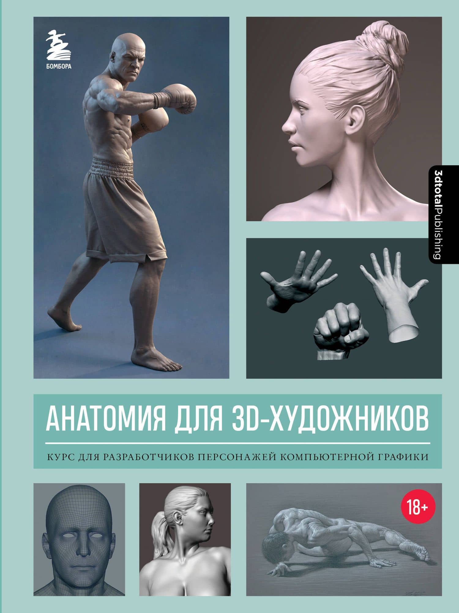 Анатомия для 3D-художников. Курс для разработчиков персонажей компьютерной графики — 3dtotal