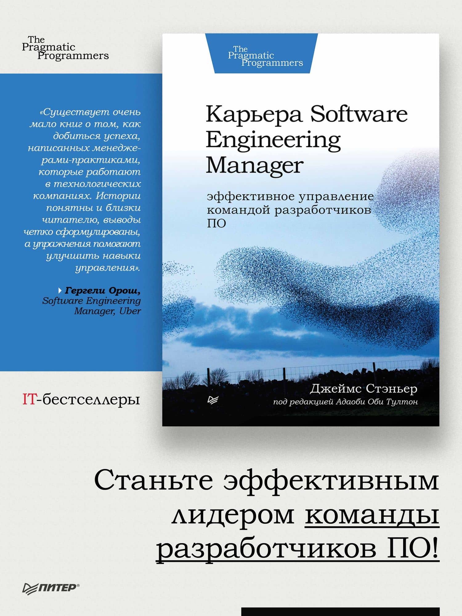 Карьера Software Engineering Manager. Эффективное управление командой разработчиков ПО — Джеймс Стэньер (3)