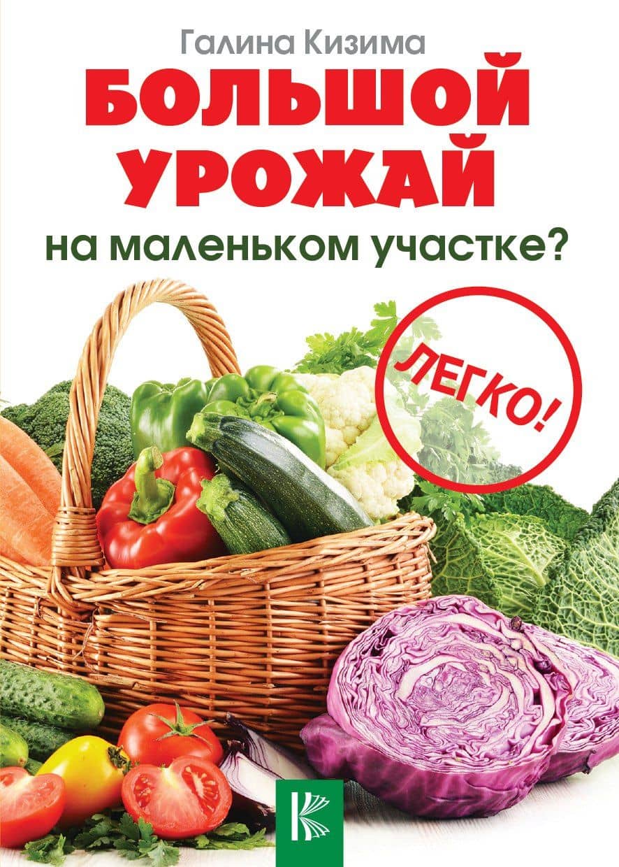 Большой урожай на маленьком участке? Легко! — Галина Александровна Кизима