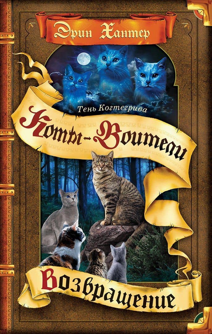 Тень Когтегрива. Книга 2. Возвращение — Хантер Эрин