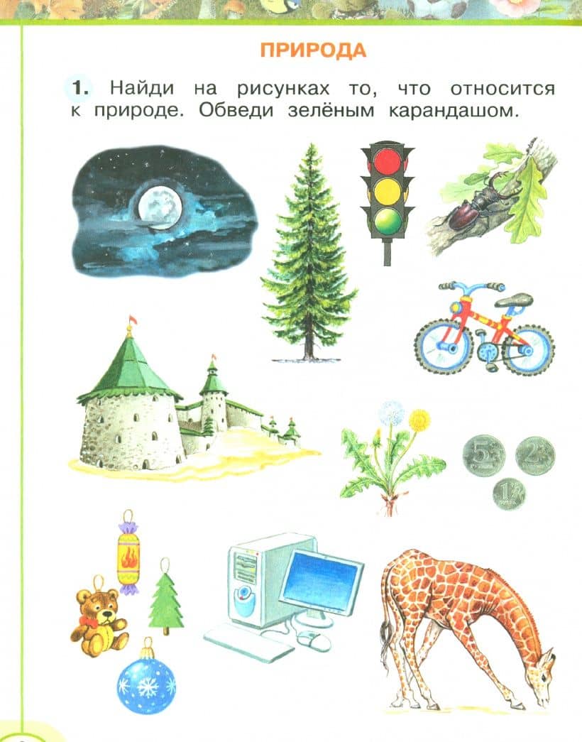Окружающий мир. 1 класс. Рабочая тетрадь. Часть 1. ФГОС — Андрей Анатольевич Плешаков (2)