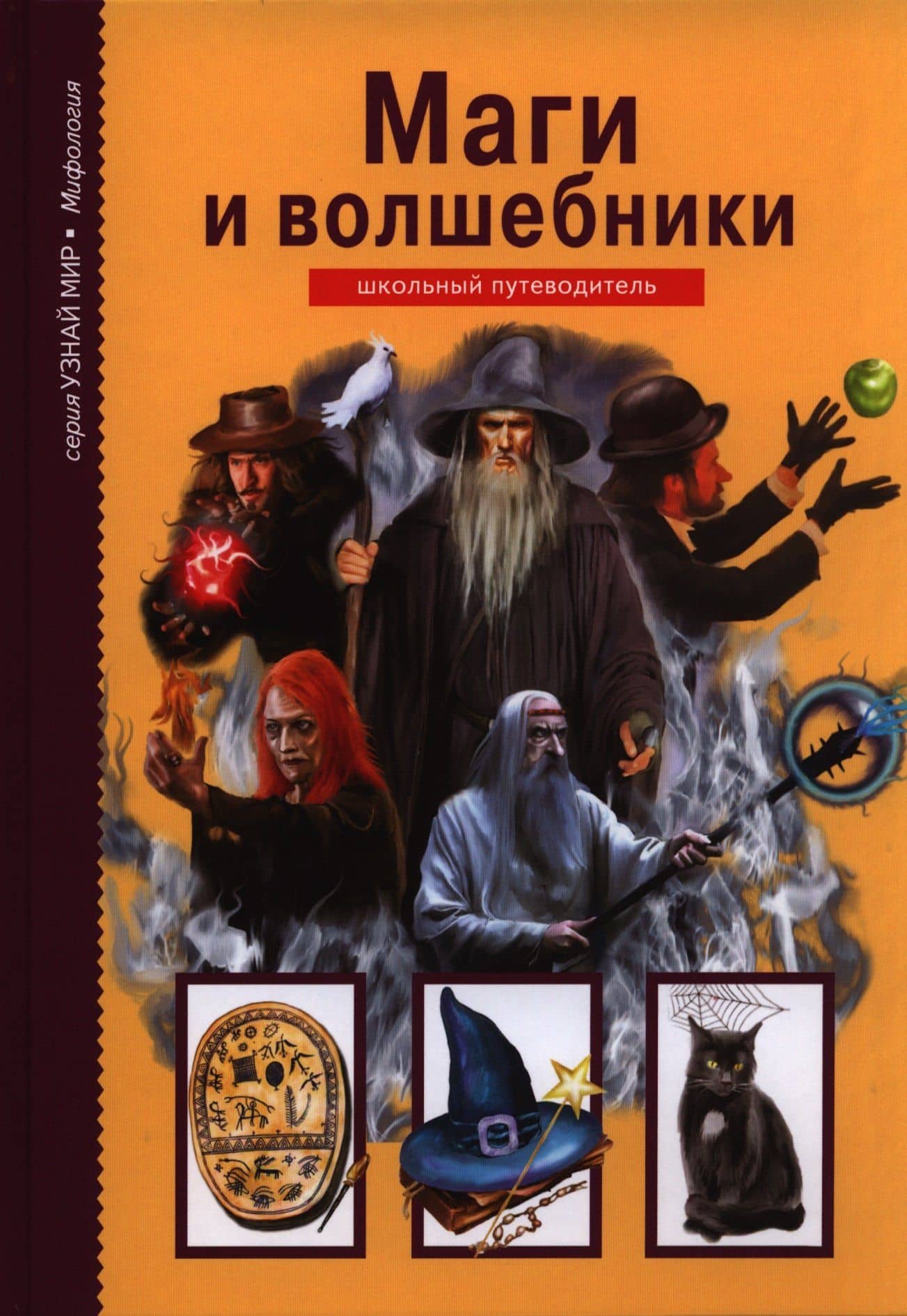 Маги и волшебники. — Юлия Александровна Дунаева