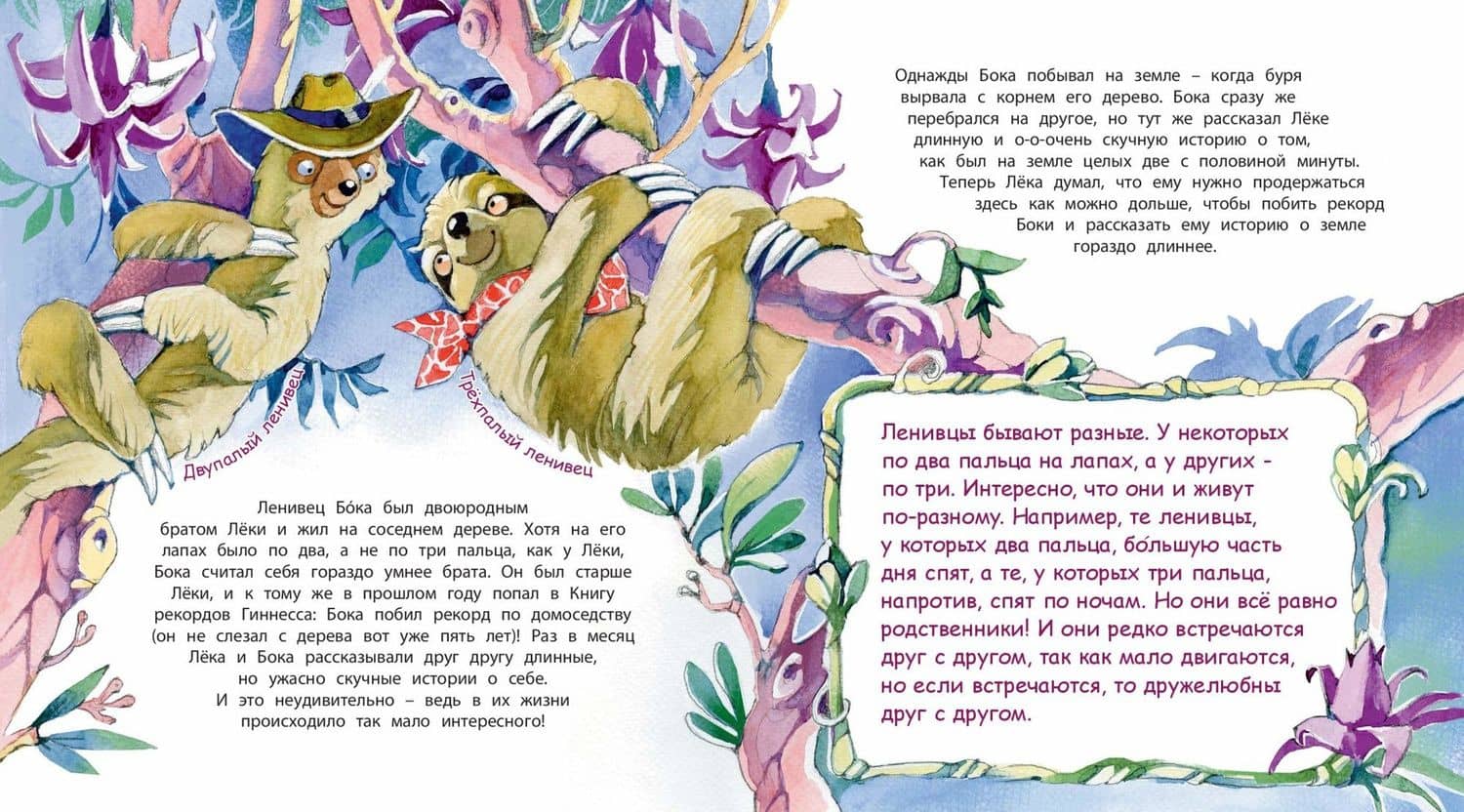 Неленивый ленивец и его соседи — Фани Виталь (3)
