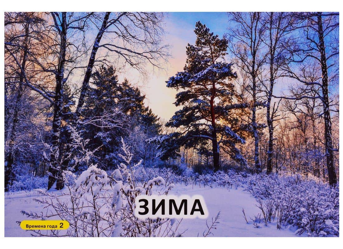 Карточки для умного развития. Времена года — Татьяна Игоревна Бойченко (3)