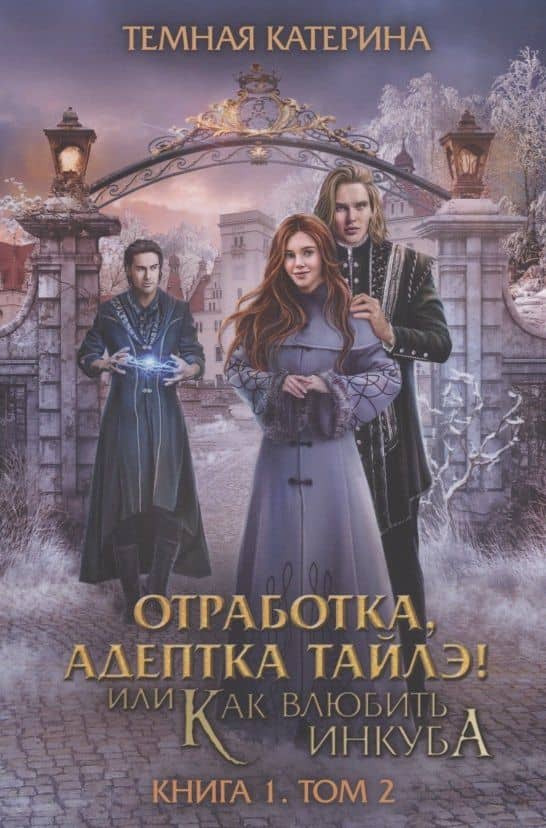 Отработка, адептка Тайлэ! или Как влюбить инкуба. Кн. 1. Т. 2 — Катерина Темная