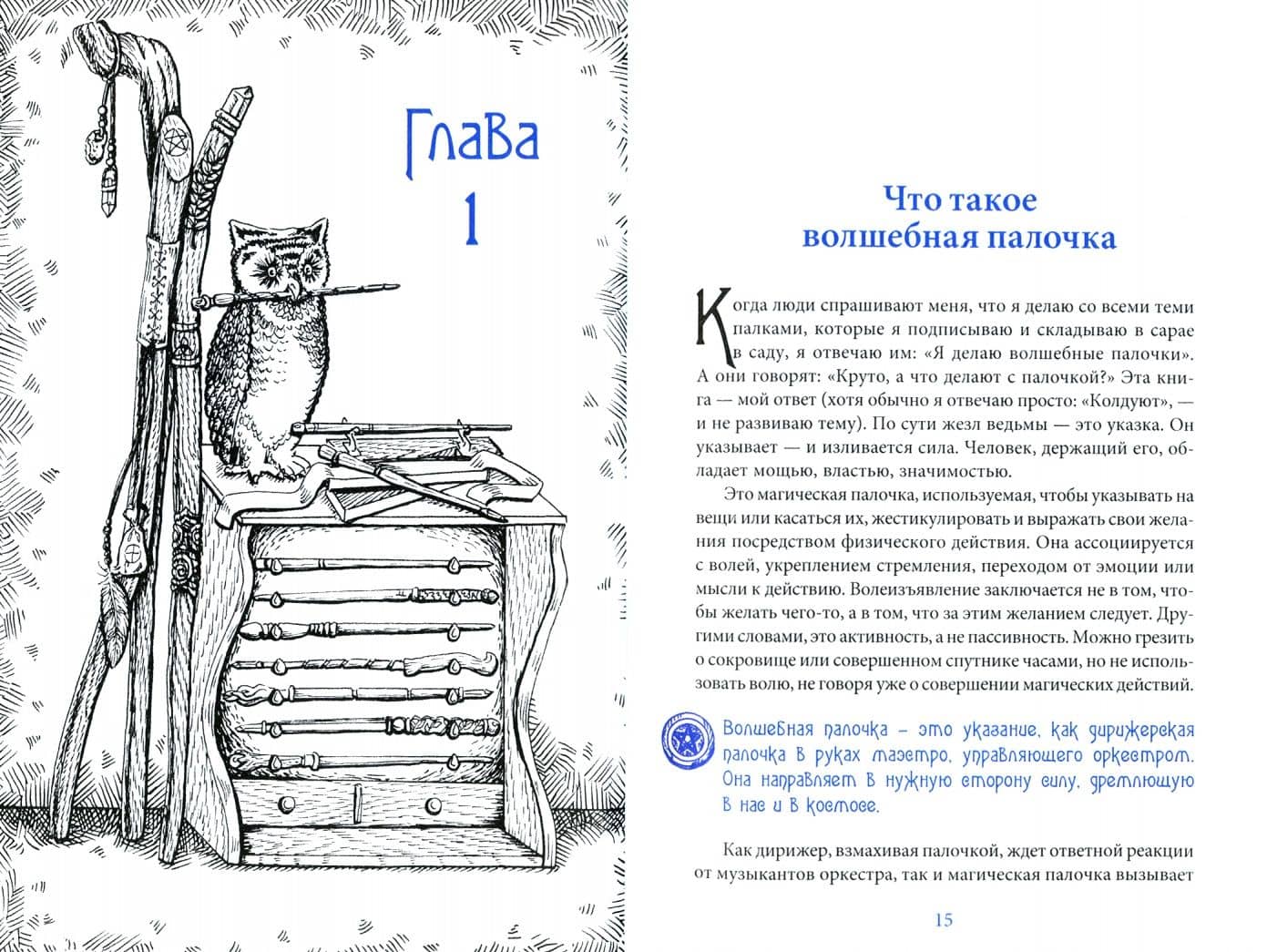 Жезл ведьмы. Изготовление, история и магические свойства волшебных палочек — Альфериан Гвидион Маклир (2)