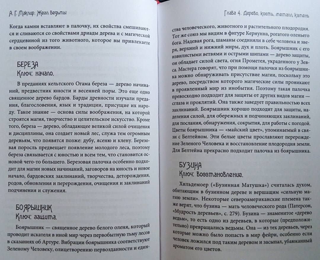 Жезл ведьмы. Изготовление, история и магические свойства волшебных палочек — Альфериан Гвидион Маклир (3)