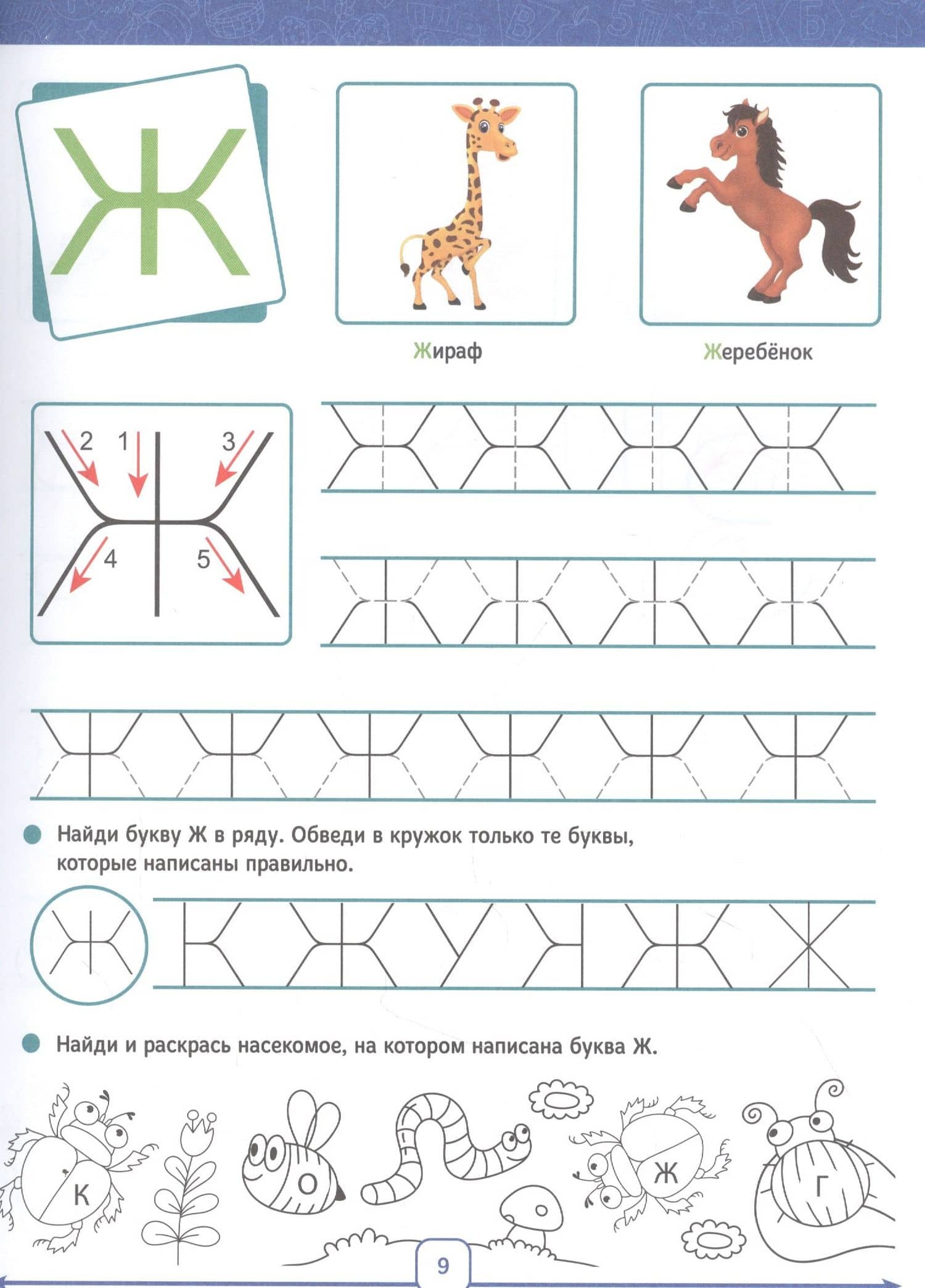 Годовой курс. 5-6 лет (3)