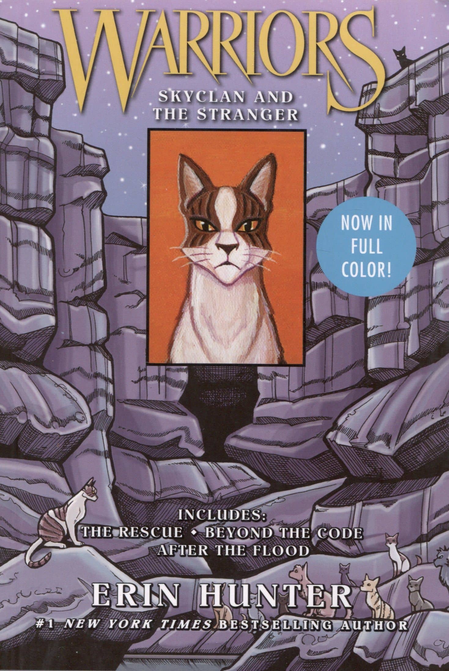 Warriors Manga: SkyClan and the Stranger — Эрин Хантер