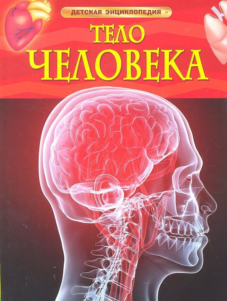 Тело человека