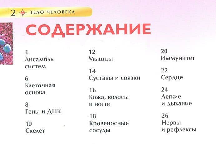 Тело человека — Миранда Смит (2)