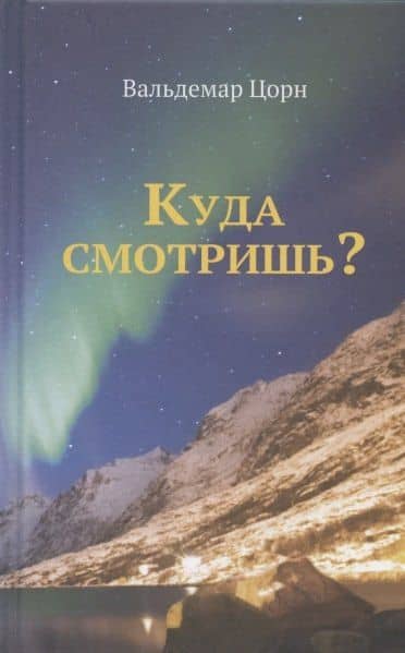 Куда смотришь? — Вальдемар Цорн