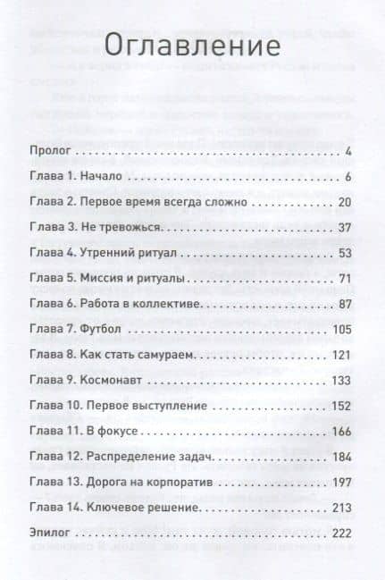 Сам себе босс. Бизнес-роман о бирюзовой компании — Руслан Маликович Гафаров (2)