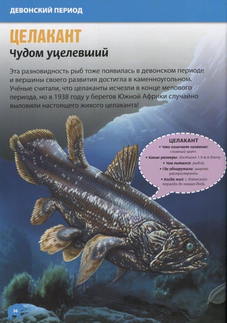 Энциклопедия динозавров и доисторических животных. Для детей от 6 до 12 лет — Кармен Родригес (3)