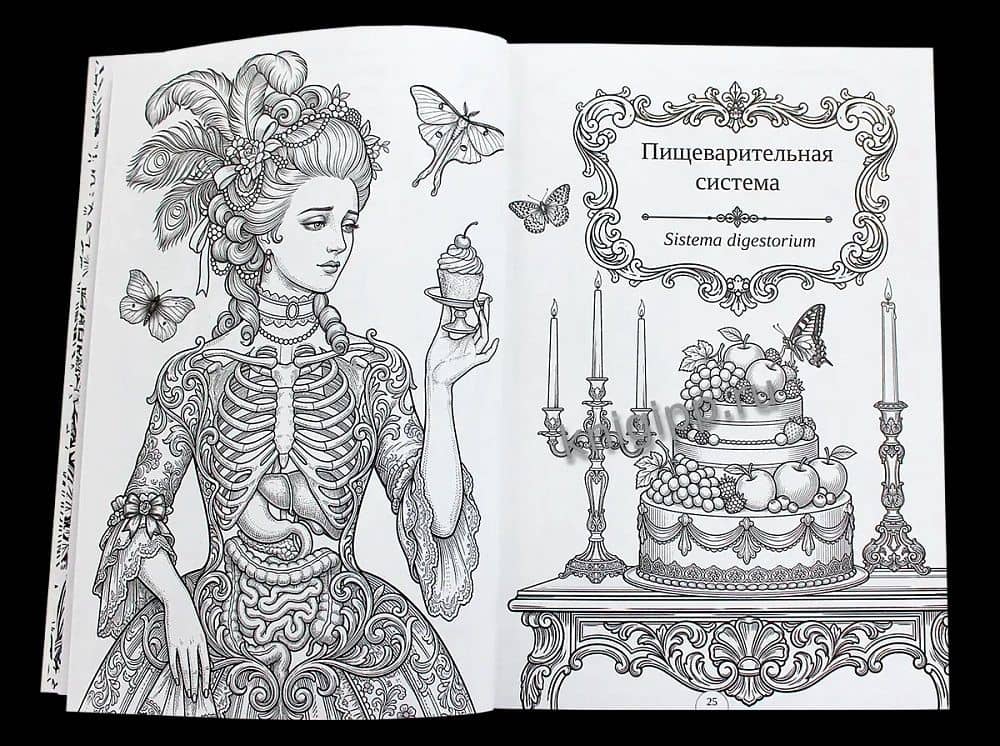 Раскраска-атлас. Анатомия (2)
