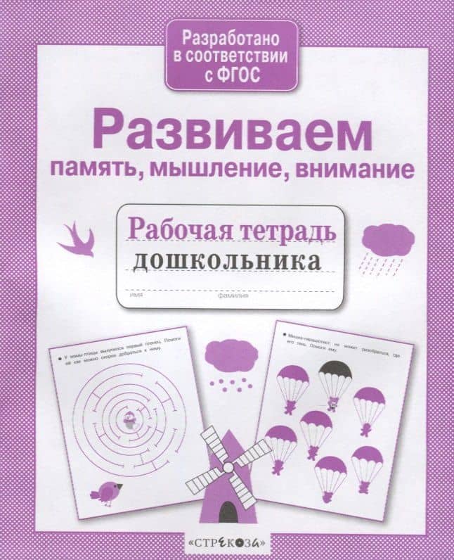 Развиваем память, мышление, внимание. Рабочая тетрадь дошкольника