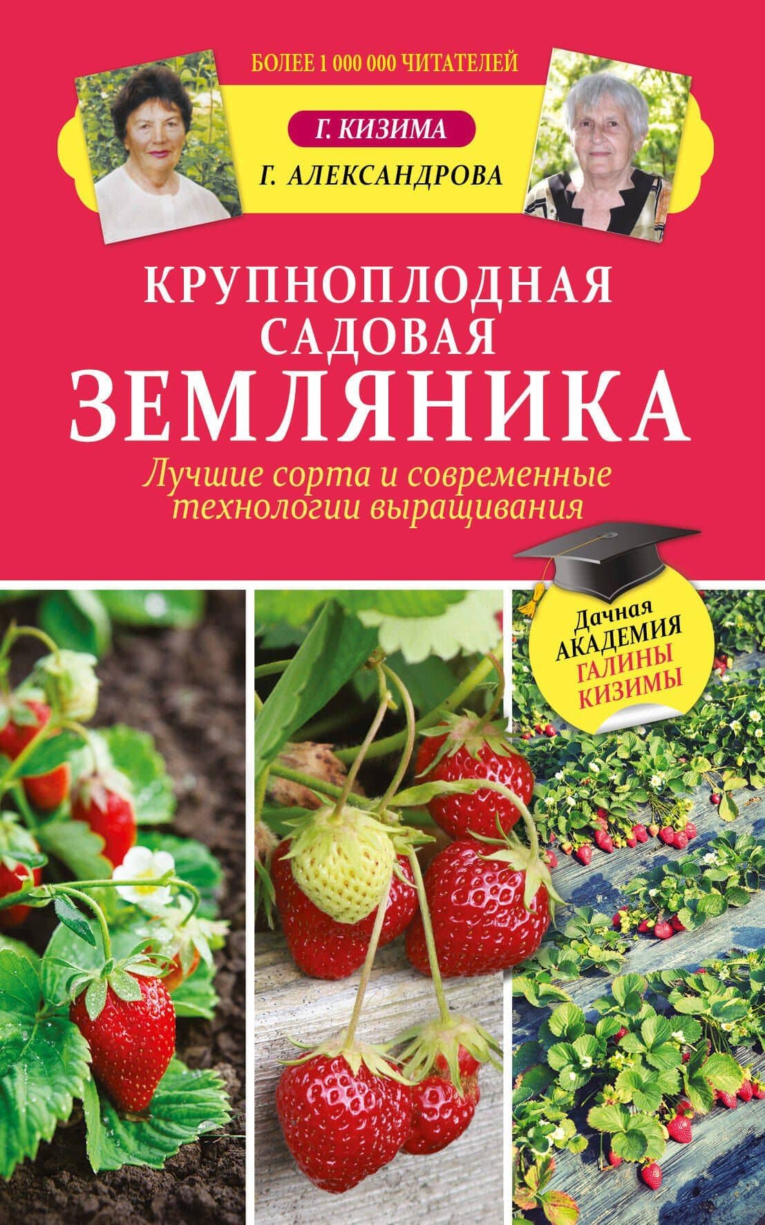 Крупноплодная садовая земляника. Лучшие сорта и современные технологии выращивания