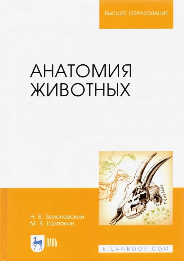 Анатомия животных. Учебник