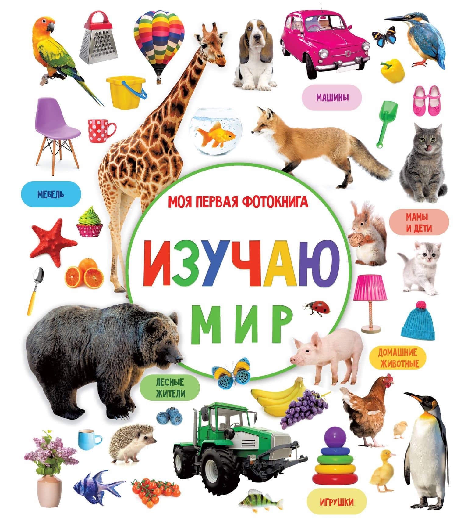 Обложка книги