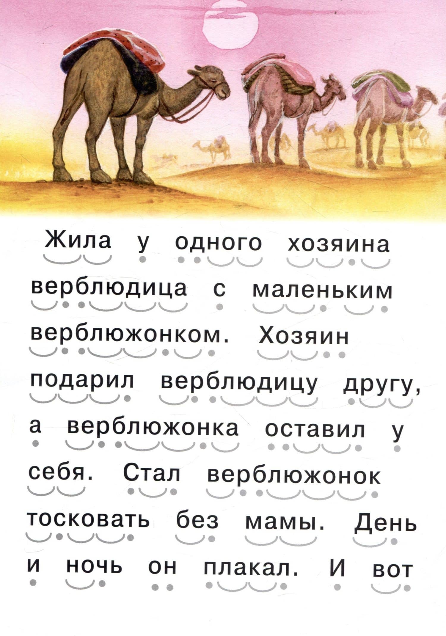Читаем сами Верблюжонок (3)