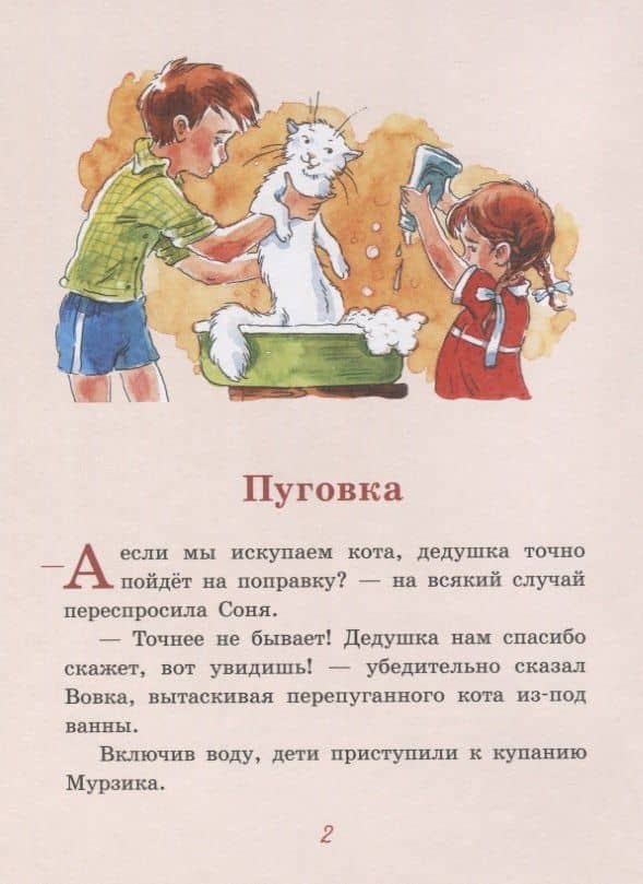 Пуговка. Рассказы — Аня Доброчасова (2)