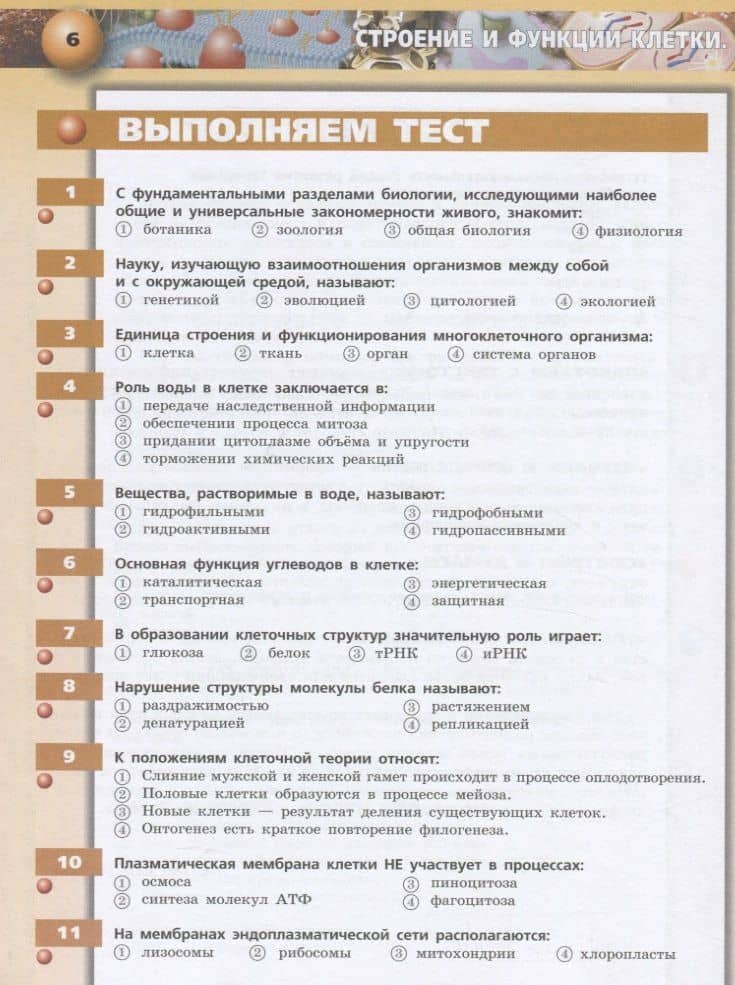 Биология. 10-11 классы. Тетрадь-тренажер. Учебное пособие. Базовый уровень — Елена Александровна Власова (3)
