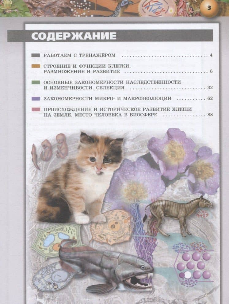 Биология. 10-11 классы. Тетрадь-тренажер. Учебное пособие. Базовый уровень — Елена Александровна Власова (2)