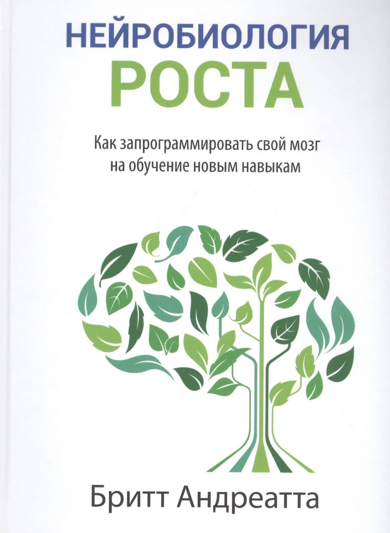 Нейробиология роста: как запрограммировать свой мозг на обучение новым навыкам