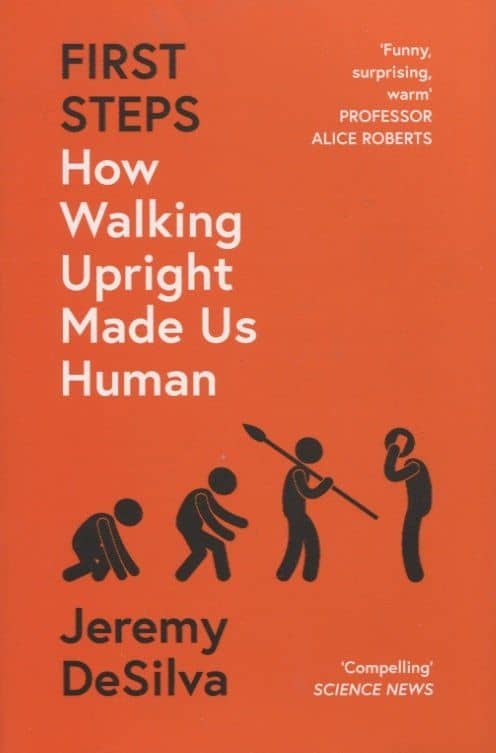 First Steps. How Walking Upright Made Us Human
