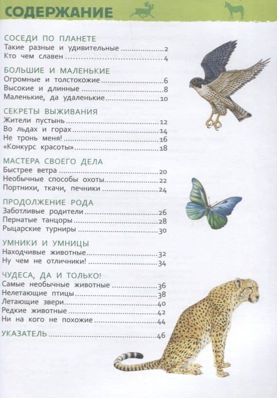 Удивительные животные. Энциклопедия для детского сада — Ирина Владимировна Травина (2)