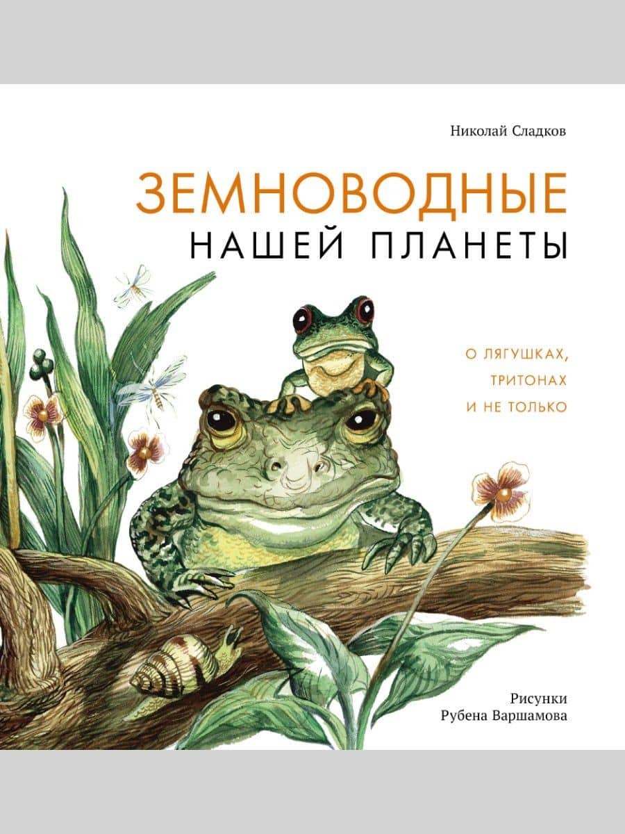 Земноводные нашей планеты. О лягушках, тритонах и не только — Николай Сладков