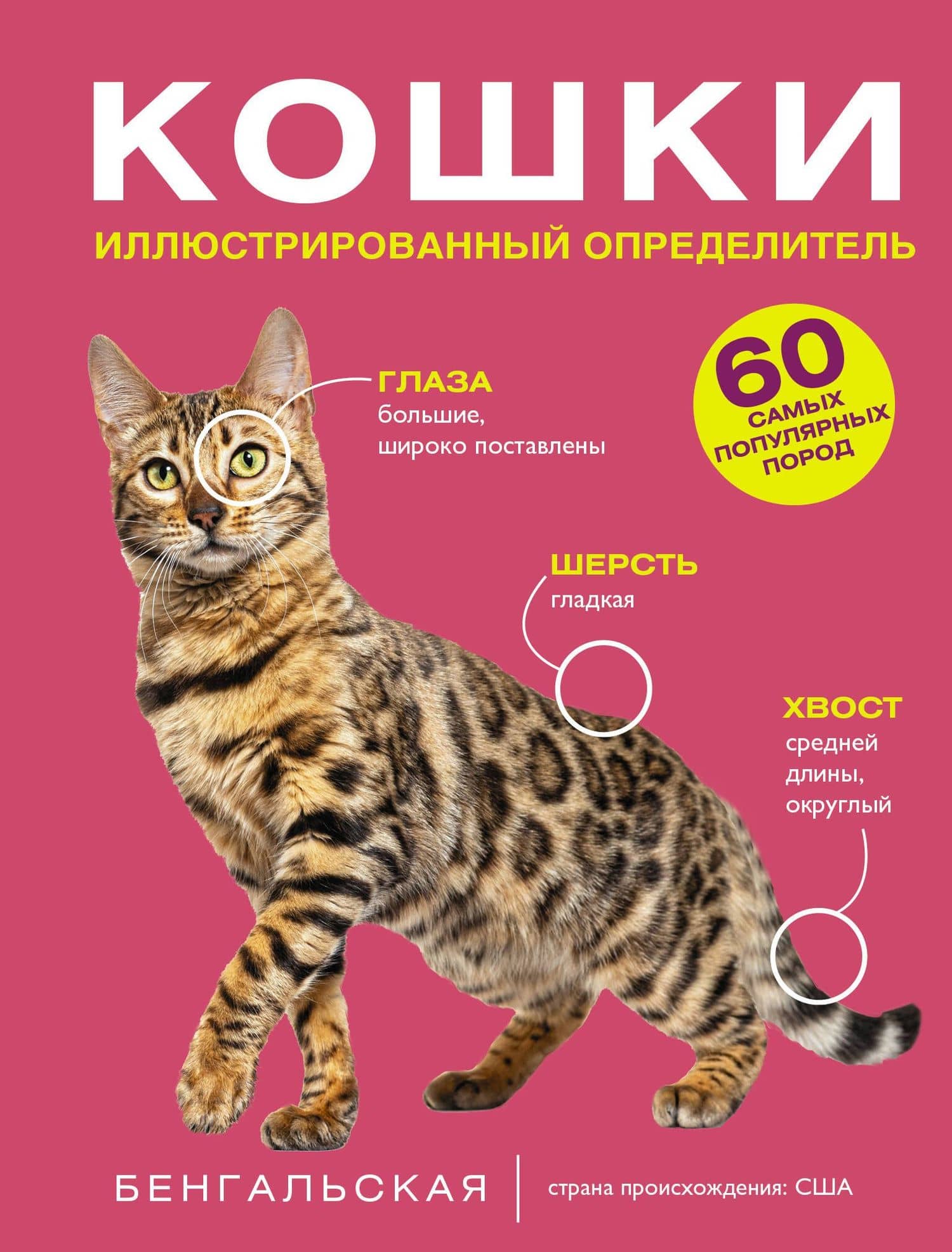 Кошки. 60 самых популярных пород. Иллюстрированный определитель — Дмитрий Сергеевич Смирнов