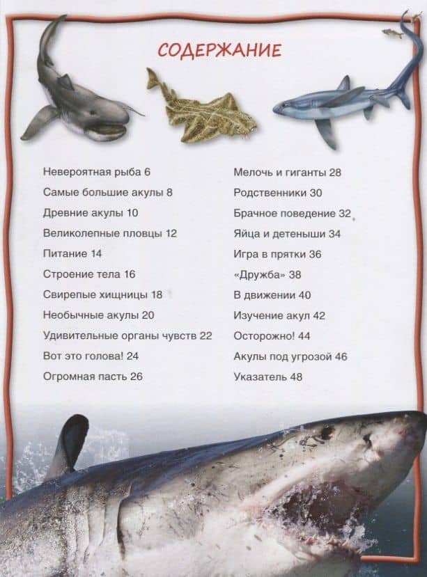 Акулы — Стив Паркер (2)