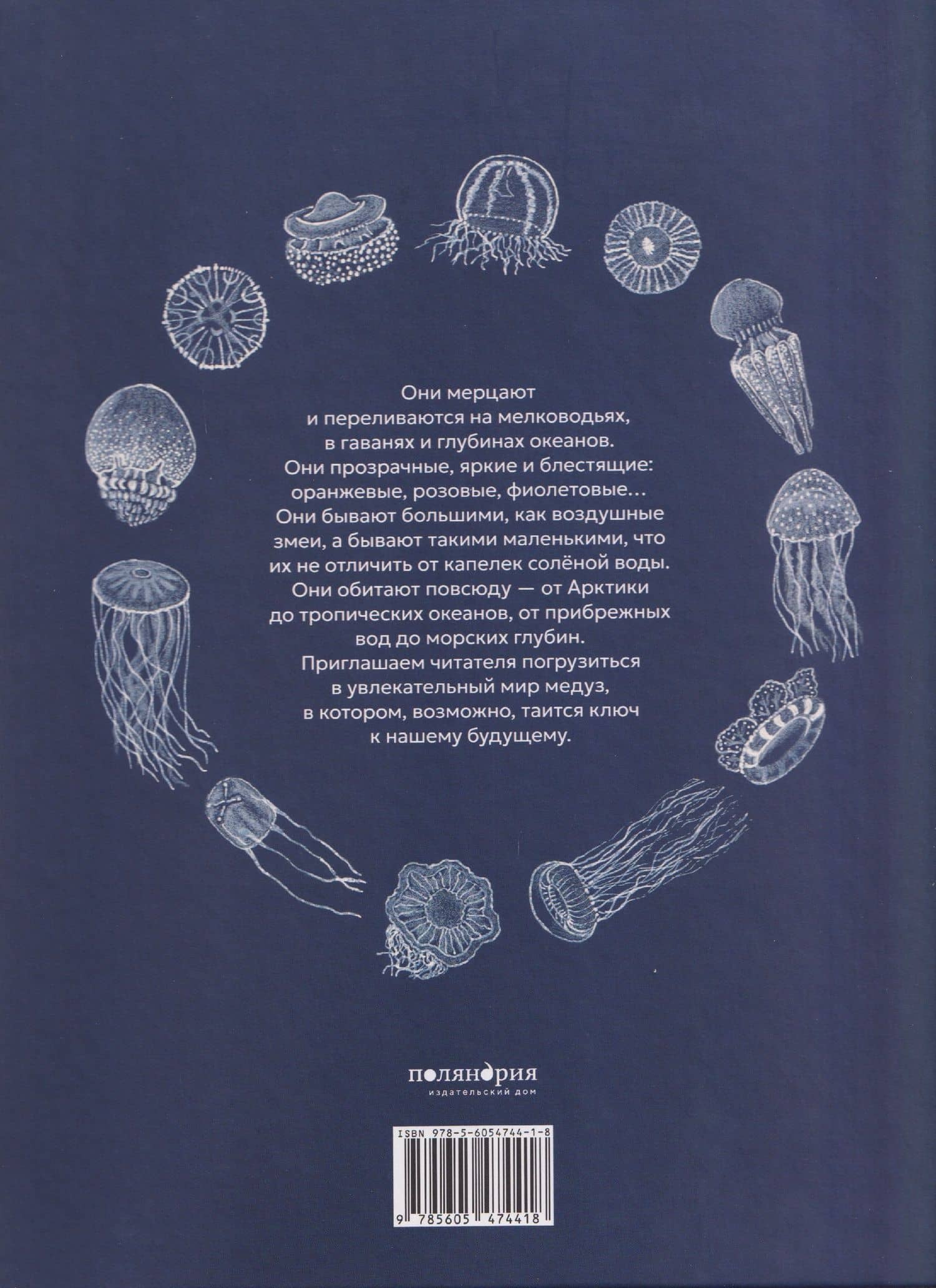 Сад медуз — Паола Витале (2)