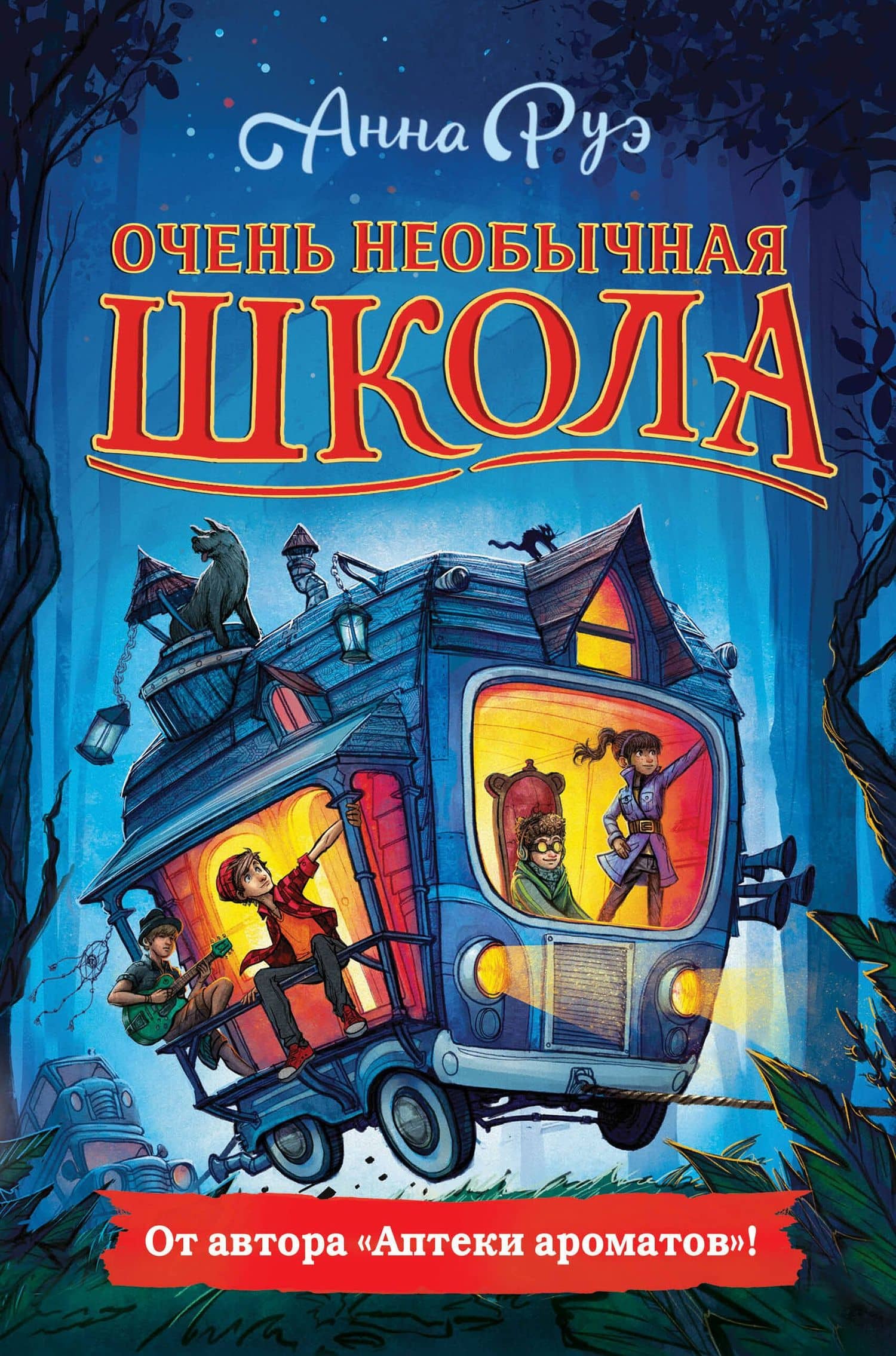 Очень необычная школа — Анна Руэ