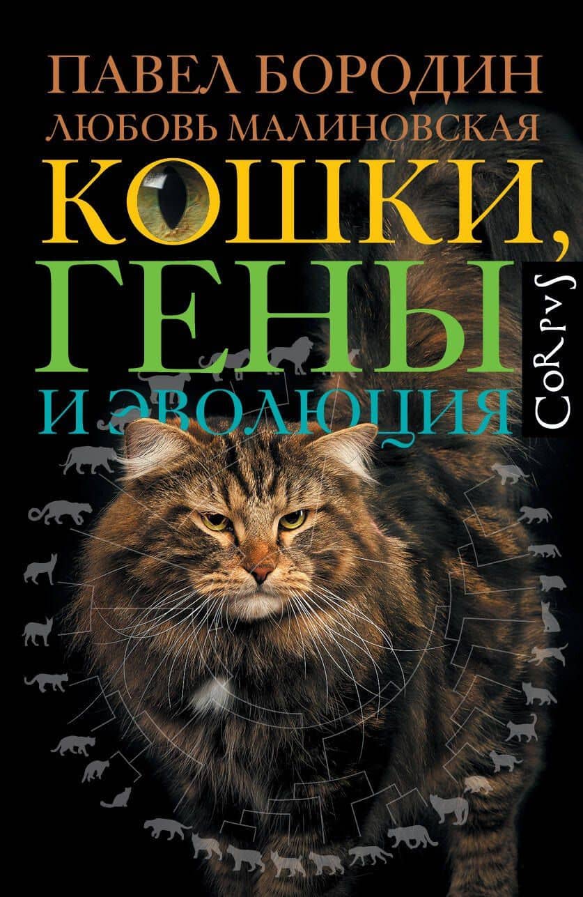 Кошки, гены и эволюция — Любовь Петровна Малиновская