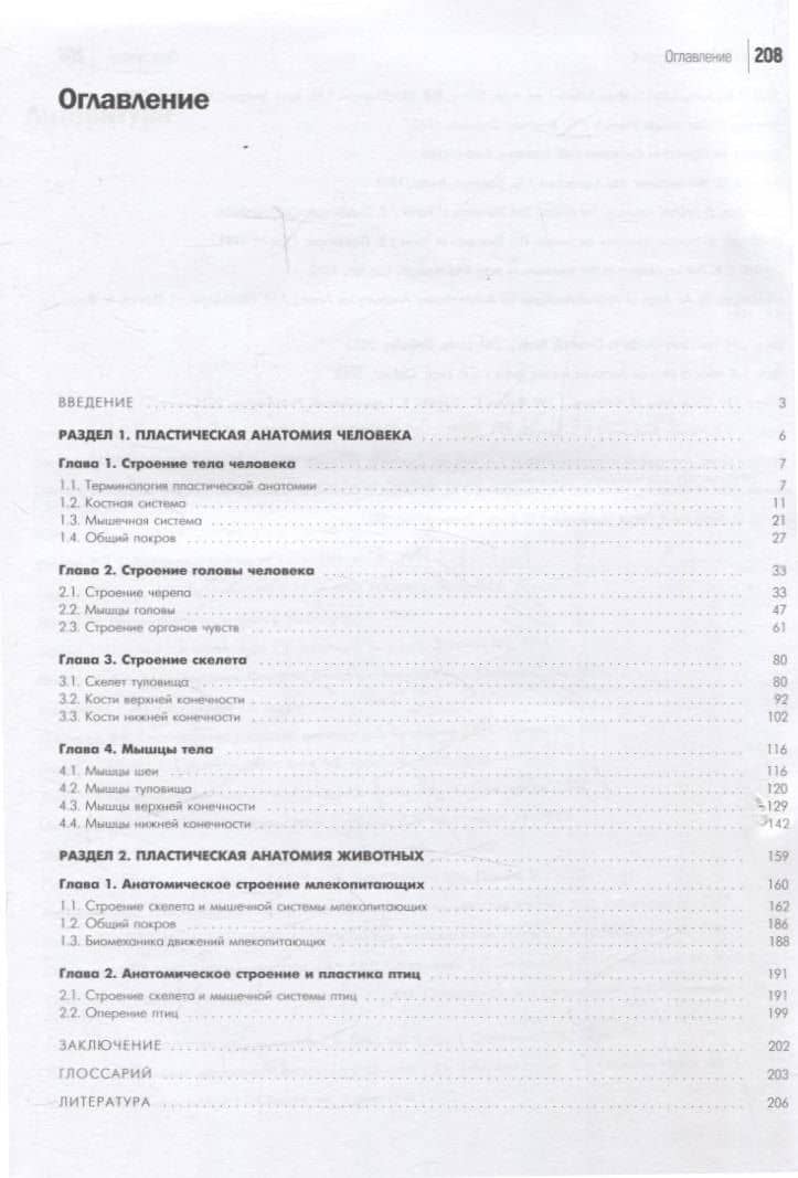 Пластическая анатомия — Приймова Мария Юрьевна (3)