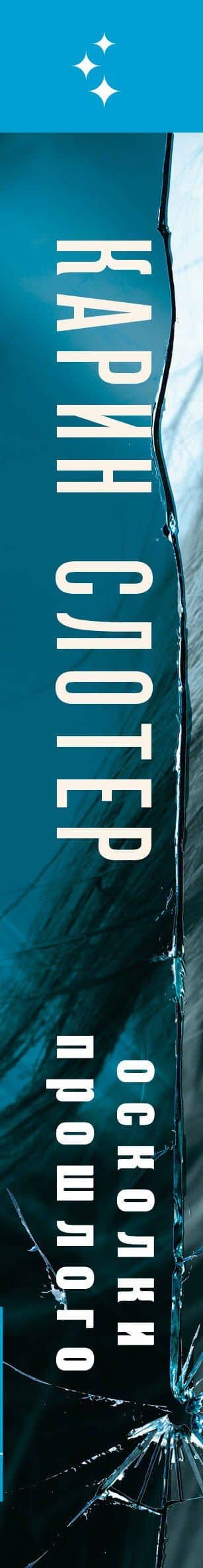 Осколки прошлого — Карин Слотер (3)