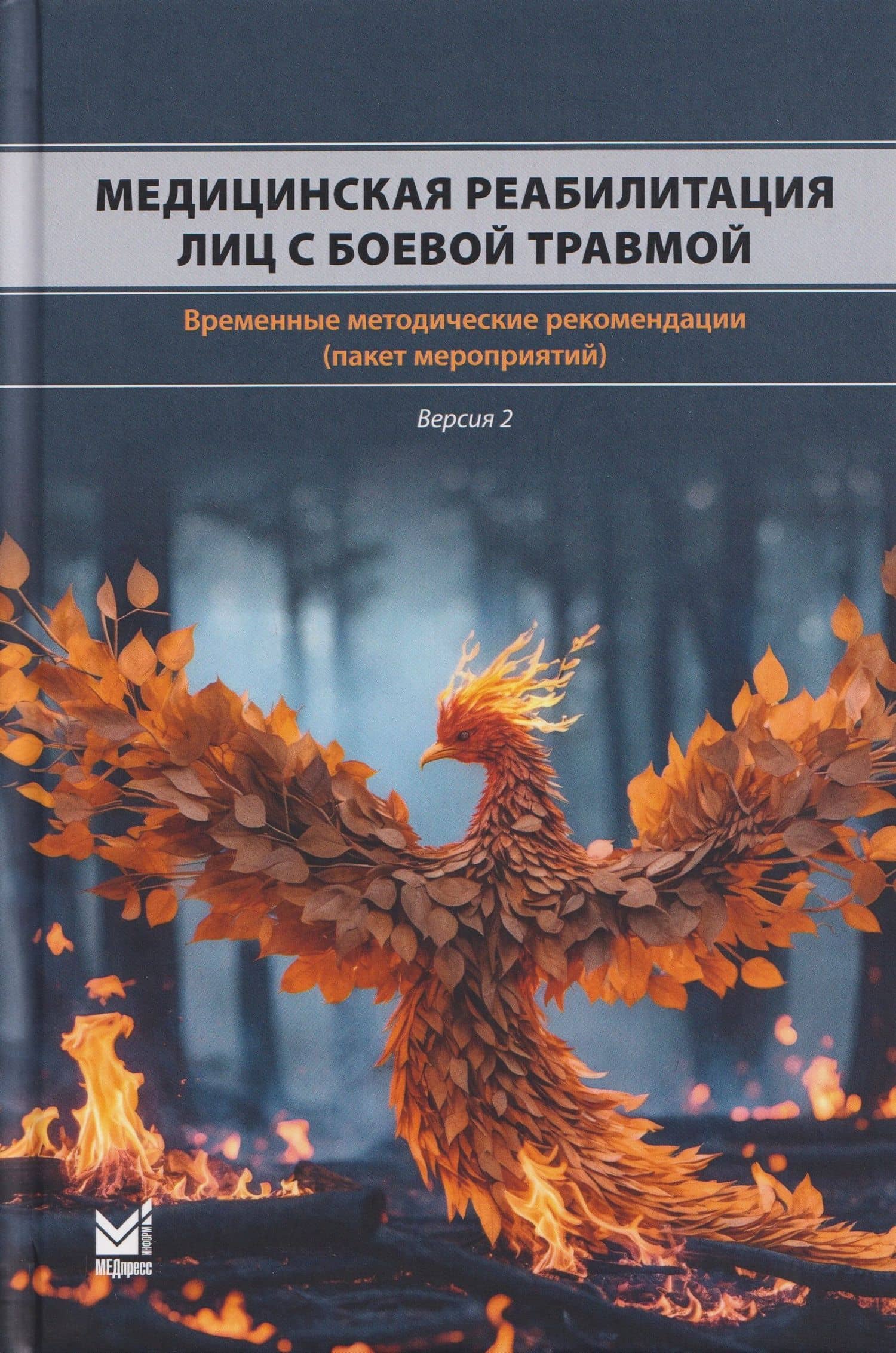 Медицинская реабилитация лиц с боевой травмой. Временные методические рекомендации (пакет мероприятий). Версия 2 — Андрей Августович Белкин