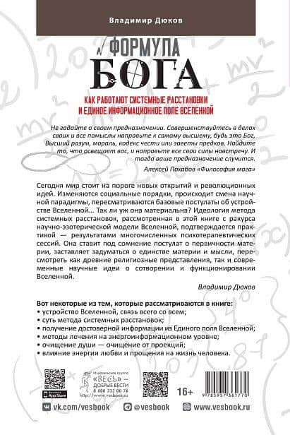 Формула Бога. Как работают системные расстановки и Единое информационное поле Вселенной — Владимир Викторович Дюков (2)