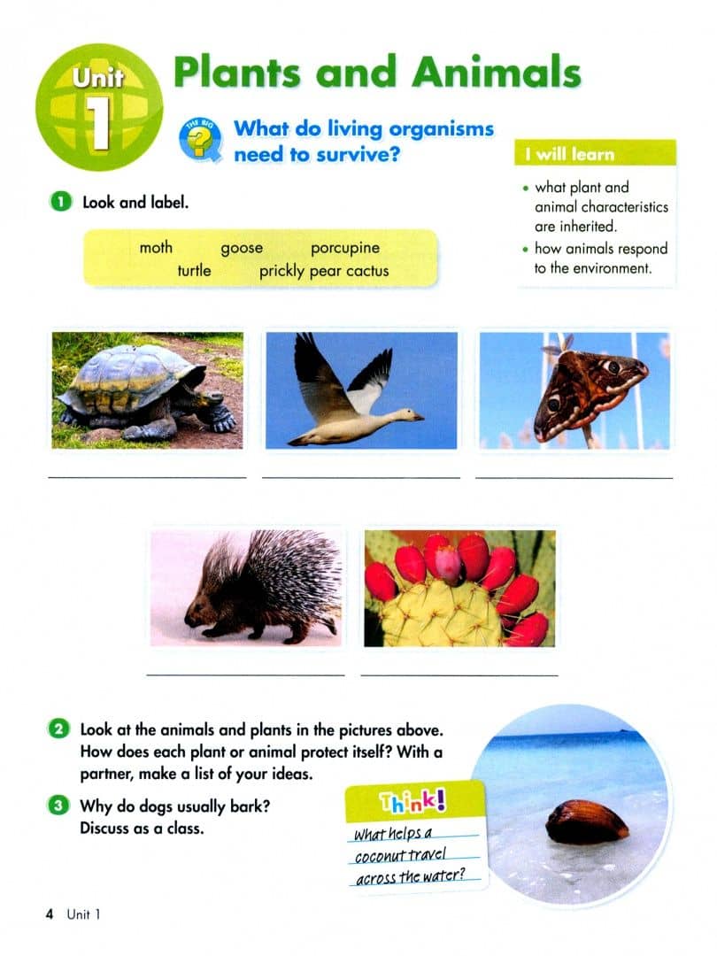 Big Science. Level 5. Student's Book (2)